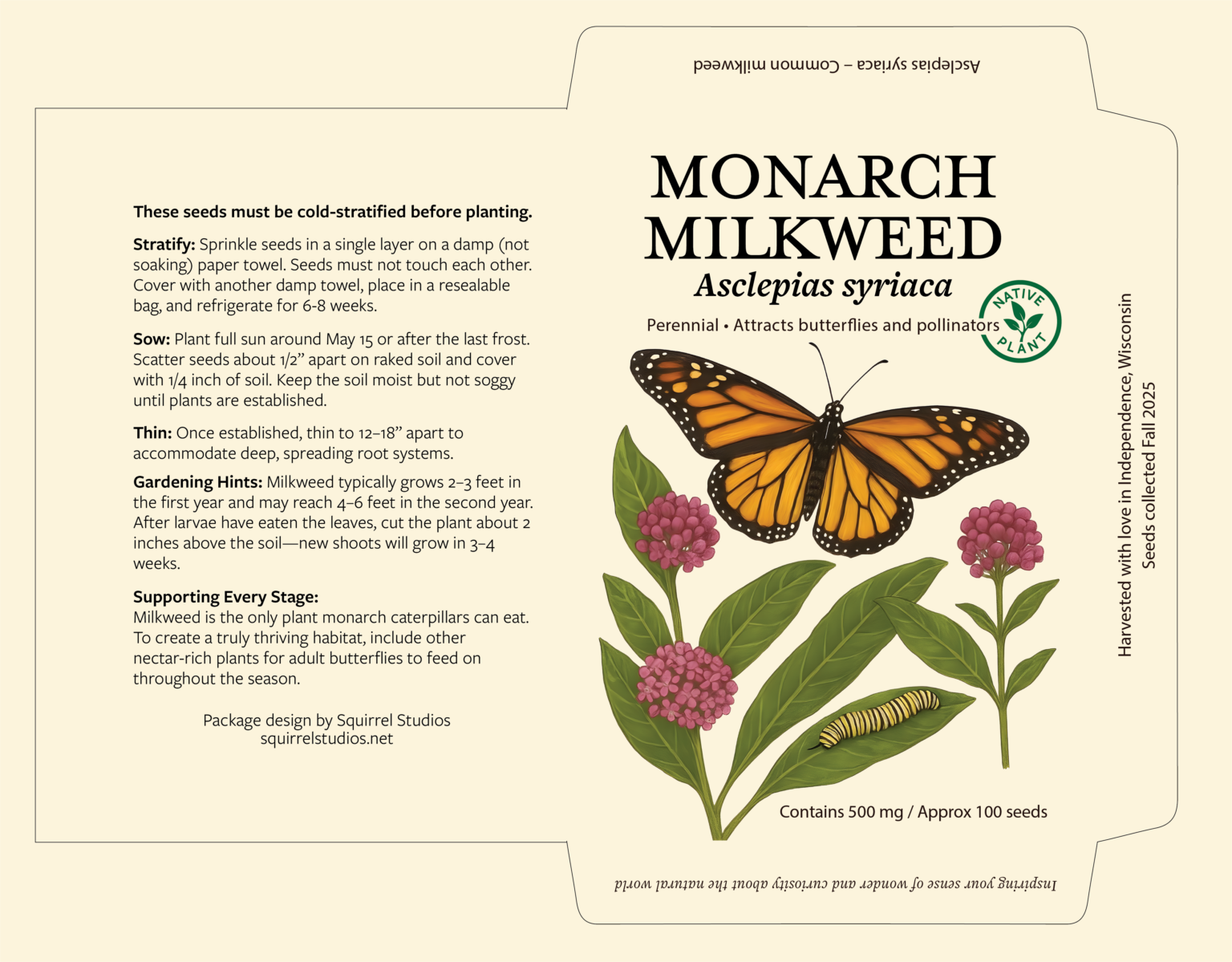 Milkweed for Monarchs seed packet packaging design showing front, back, and folded flaps with printer’s marks, including bleed and trim guides. The front features a monarch butterfly, blooming milkweed plants, and a caterpillar illustration, along with the text “Monarch Milkweed” and the botanical name. The back includes planting instructions and informational content about supporting monarch butterfly habitats.