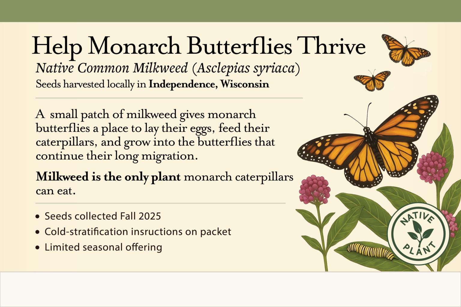 Shelf talker featuring matching milkweed branding for monarch habitat seeds. Design shows blooming milkweed plants and monarch butterflies, coordinated with the seed packet artwork. Includes product name, native plant emphasis, and botanical details, intended to highlight the seed packet on retail shelving and draw attention to pollinator gardening benefits.